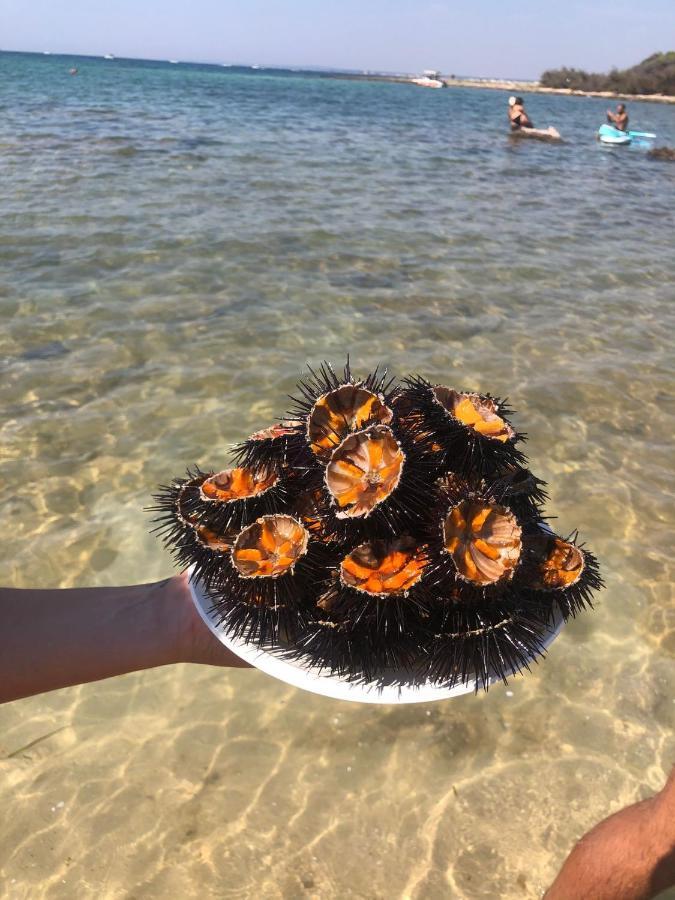 Salento Casa Vacanza Il Focolare Torchiarolo Dış mekan fotoğraf